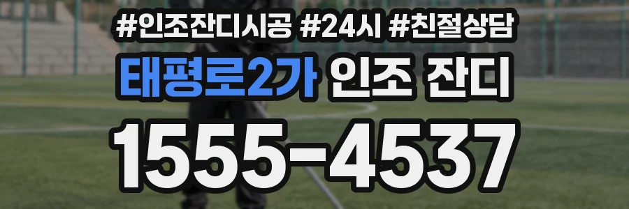 태평로2가 인조 잔디