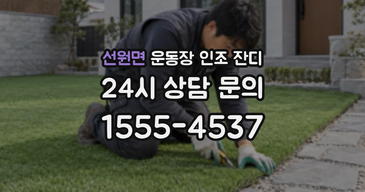 선원면 운동장 인조 잔디