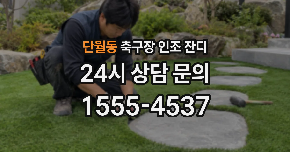 단월동 축구장 인조 잔디