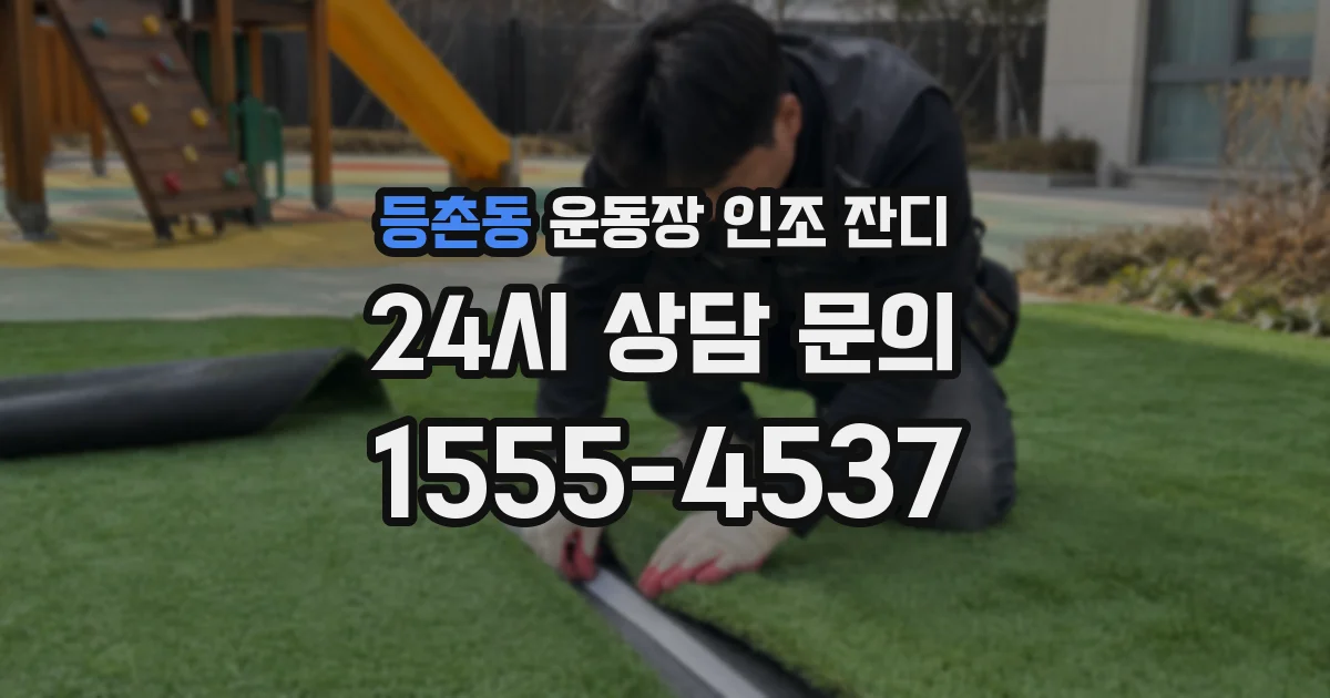 등촌동 운동장 인조 잔디