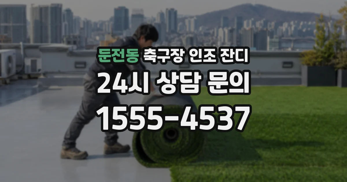 둔전동 축구장 인조 잔디
