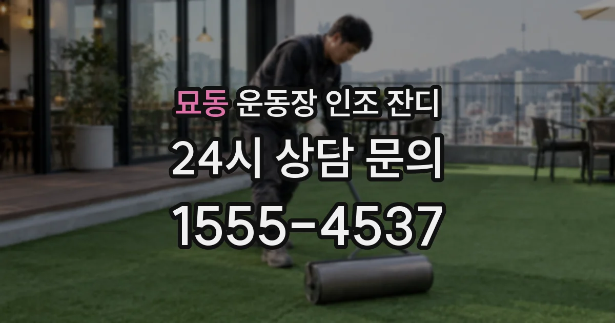 묘동 운동장 인조 잔디