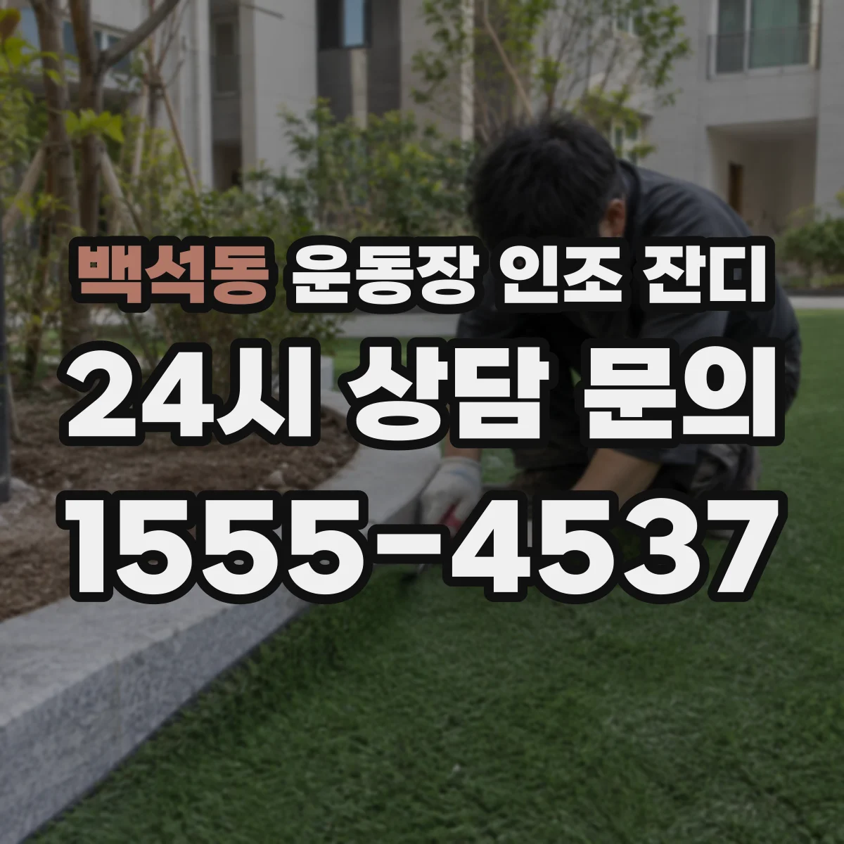 백석동 운동장 인조 잔디