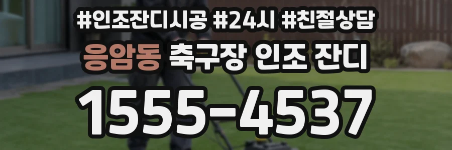 응암동 축구장 인조 잔디