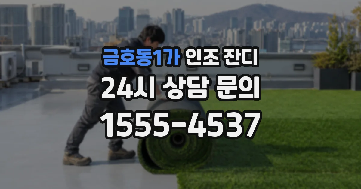 금호동1가 인조 잔디