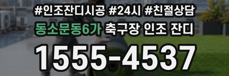 동소문동6가 축구장 인조 잔디