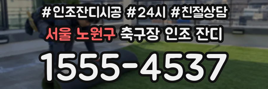 서울 노원구 축구장 인조 잔디