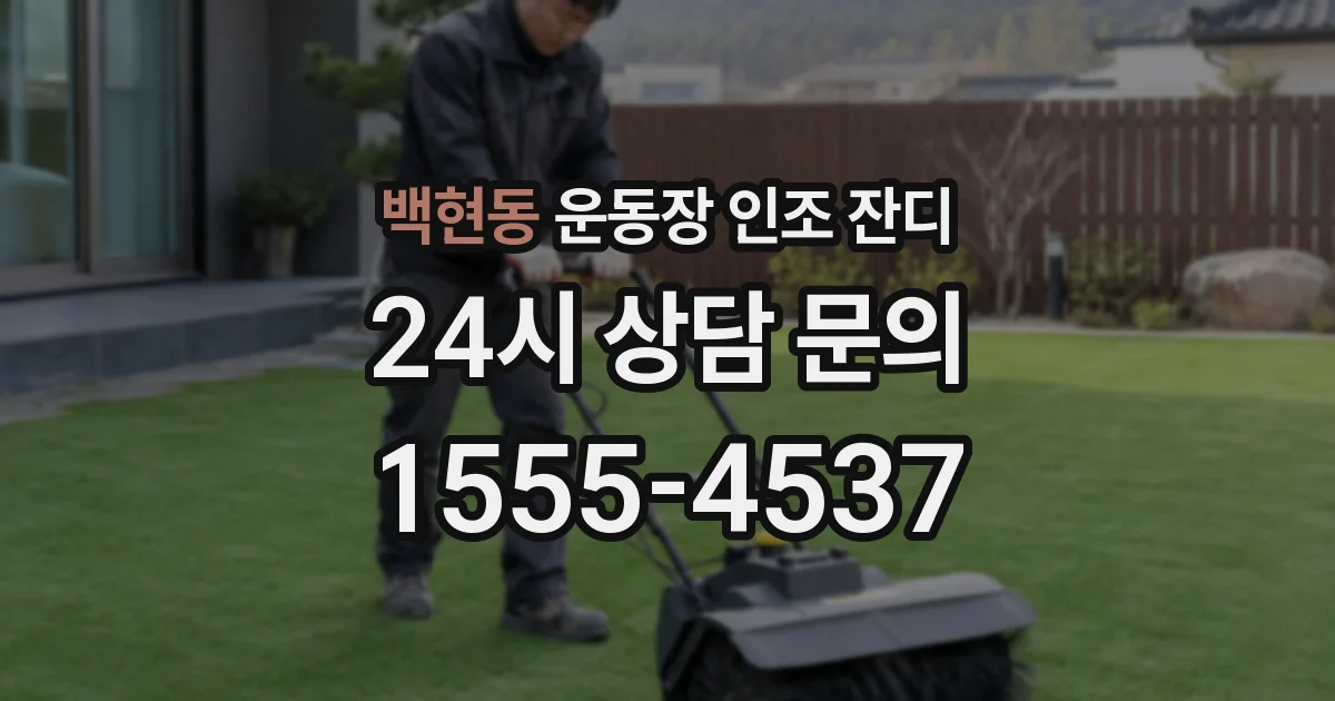 백현동 운동장 인조 잔디