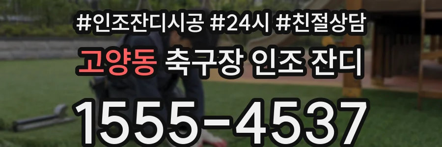 고양동 축구장 인조 잔디