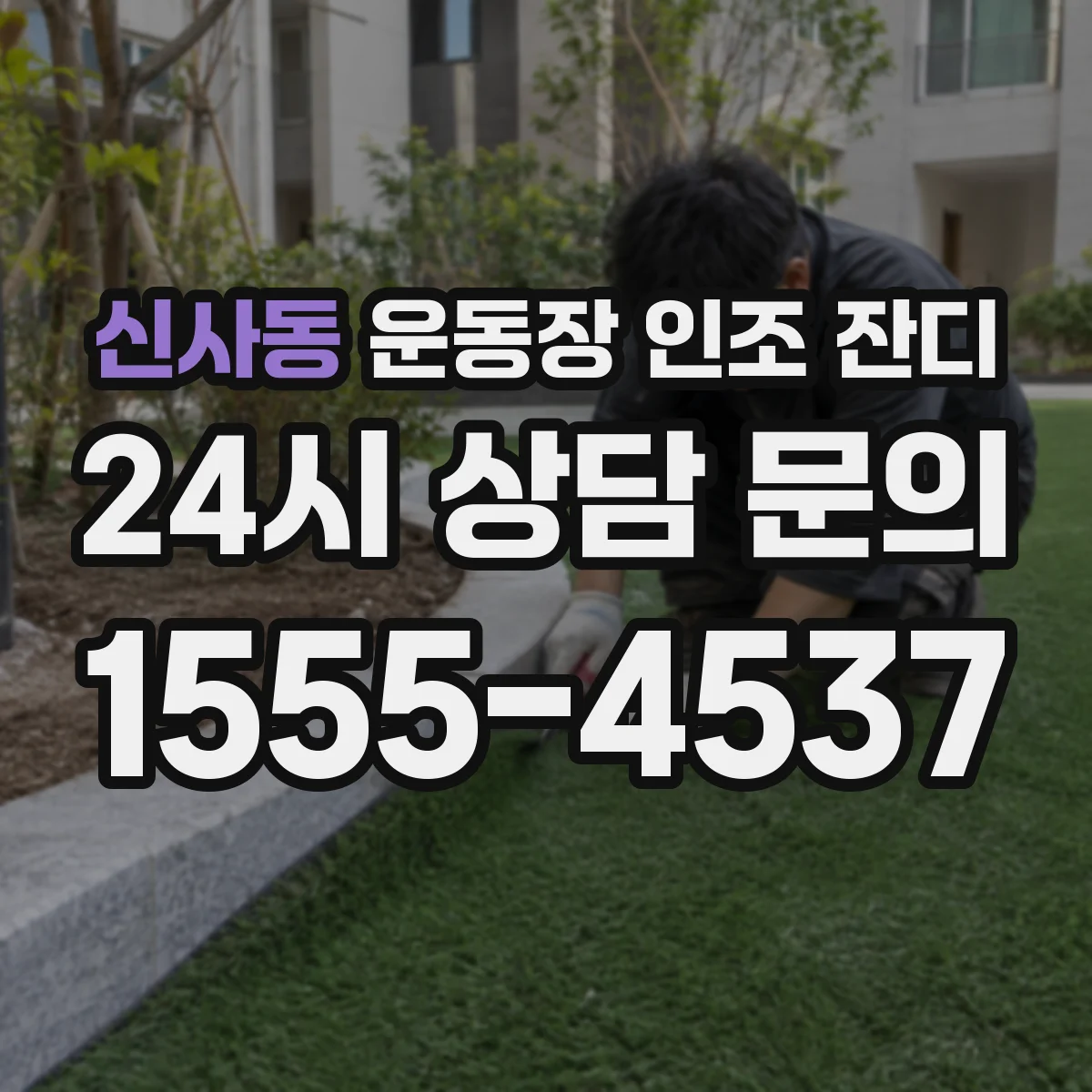 신사동 운동장 인조 잔디