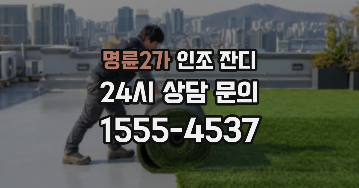 명륜2가 인조 잔디