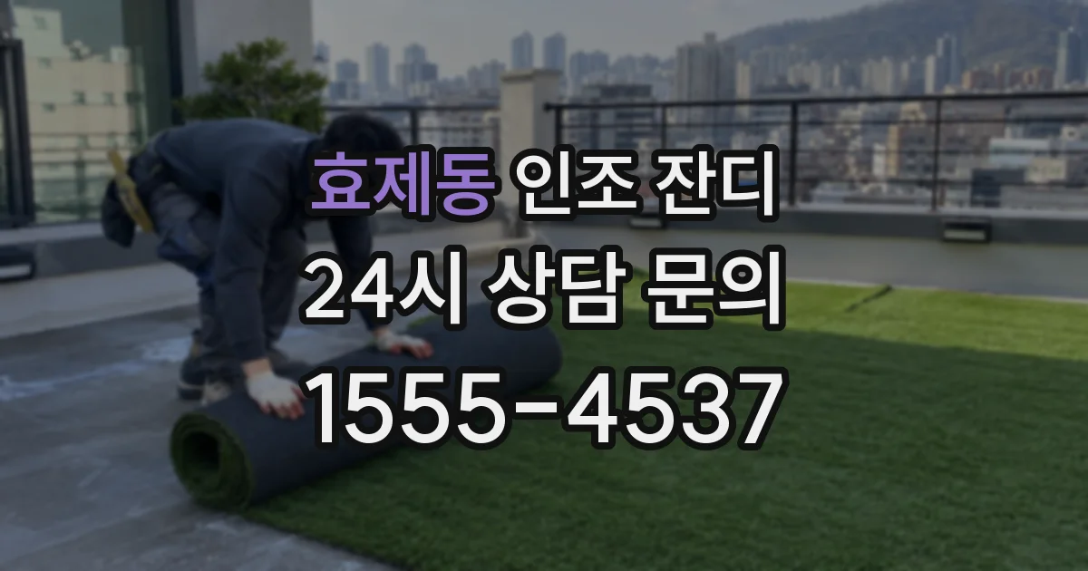 효제동 인조 잔디