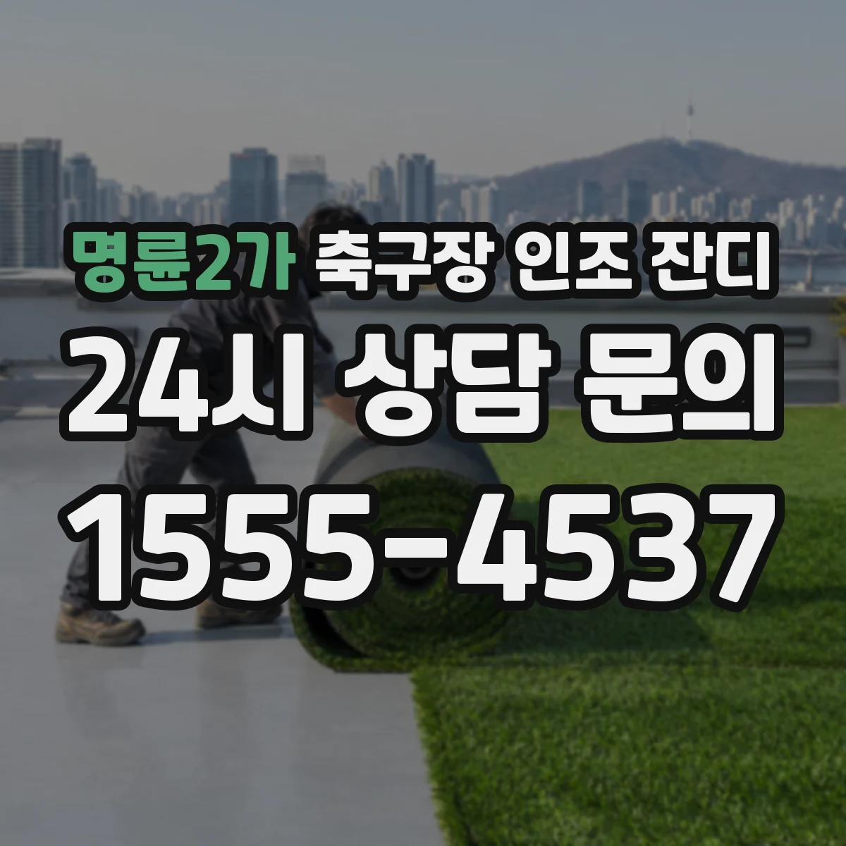 명륜2가 축구장 인조 잔디