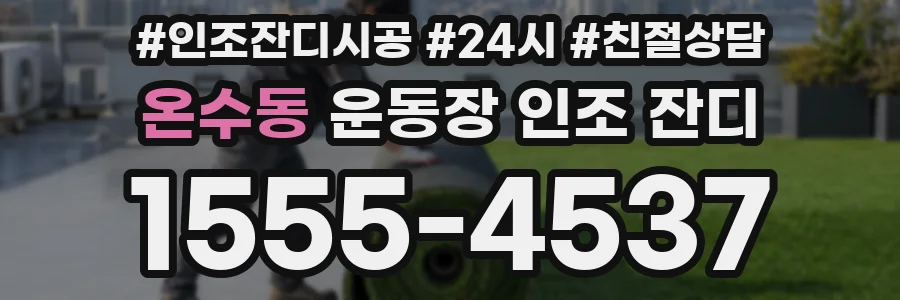 온수동 운동장 인조 잔디