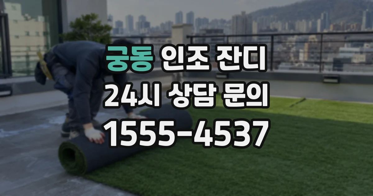 궁동 인조 잔디