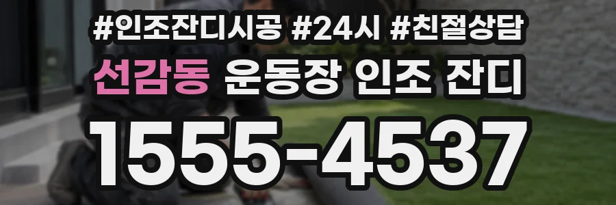 선감동 운동장 인조 잔디