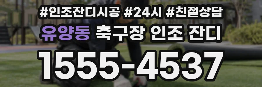 유양동 축구장 인조 잔디