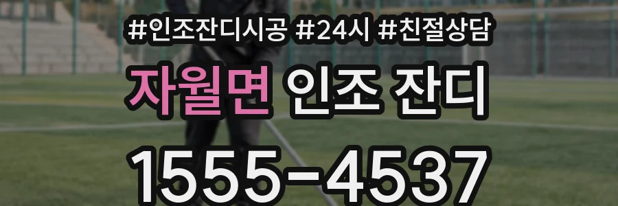 자월면 인조 잔디