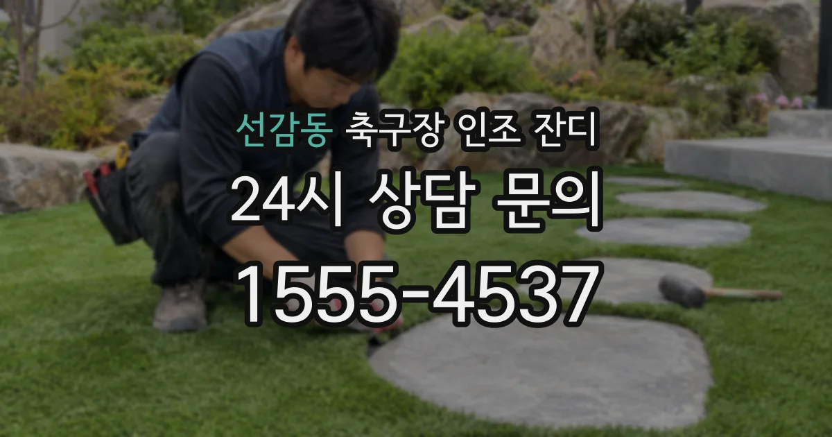 선감동 축구장 인조 잔디