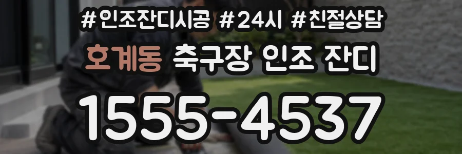 호계동 축구장 인조 잔디