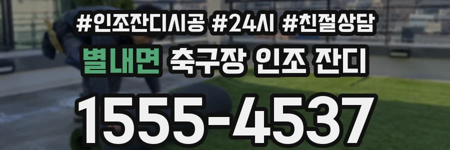 별내면 축구장 인조 잔디