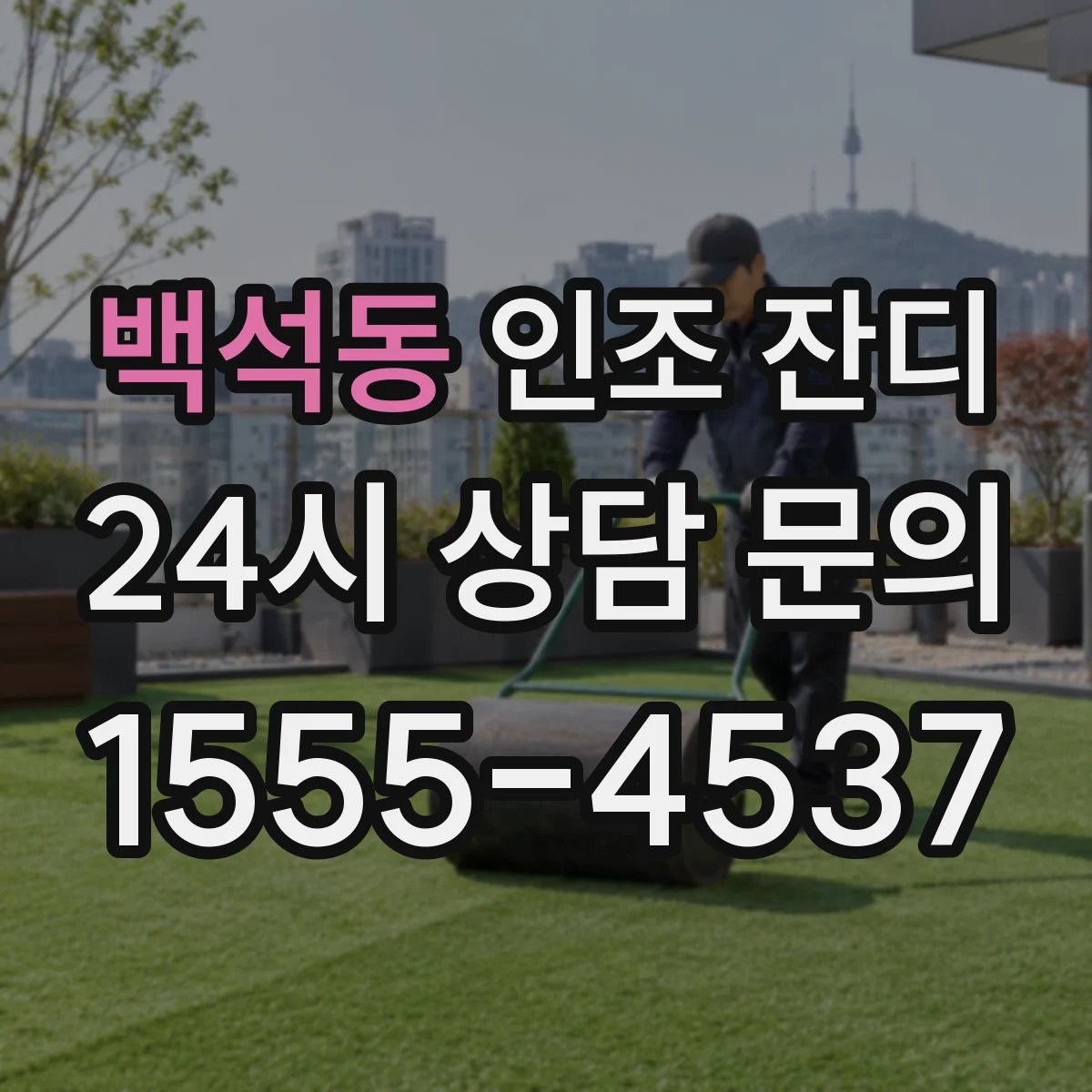 백석동 인조 잔디