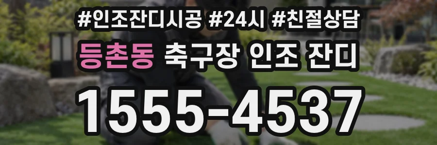 등촌동 축구장 인조 잔디