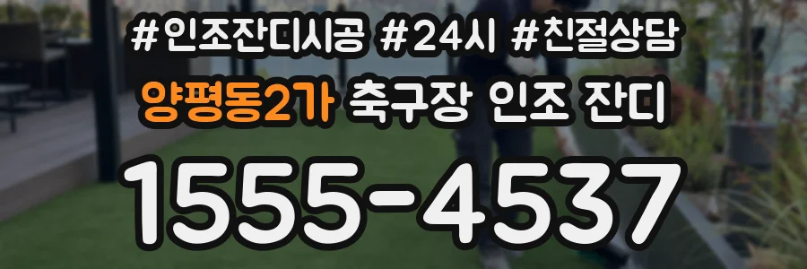 양평동2가 축구장 인조 잔디