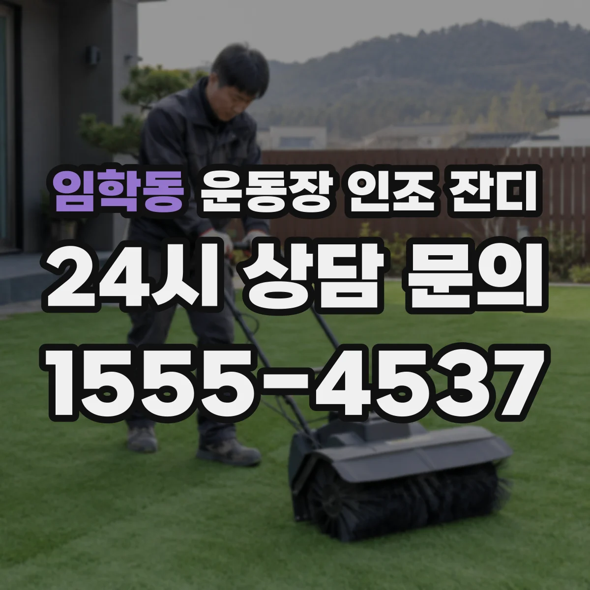 임학동 운동장 인조 잔디