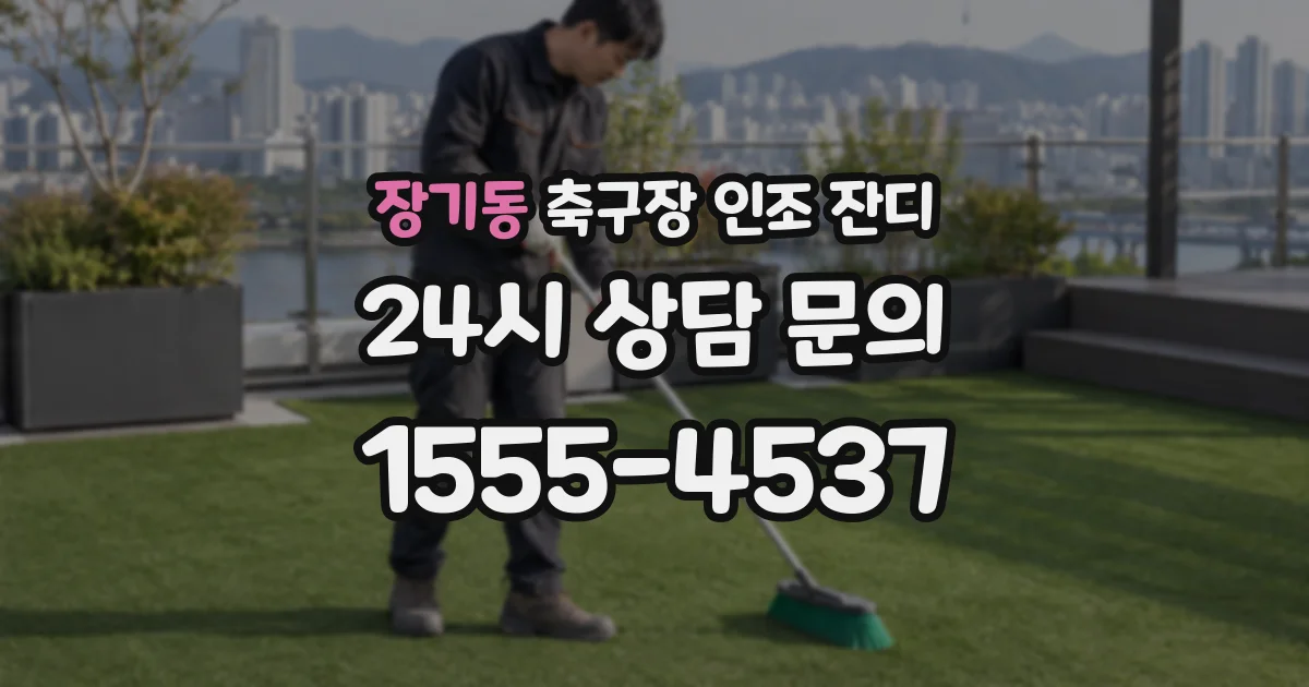 장기동 축구장 인조 잔디