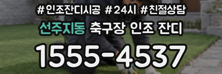 선주지동 축구장 인조 잔디