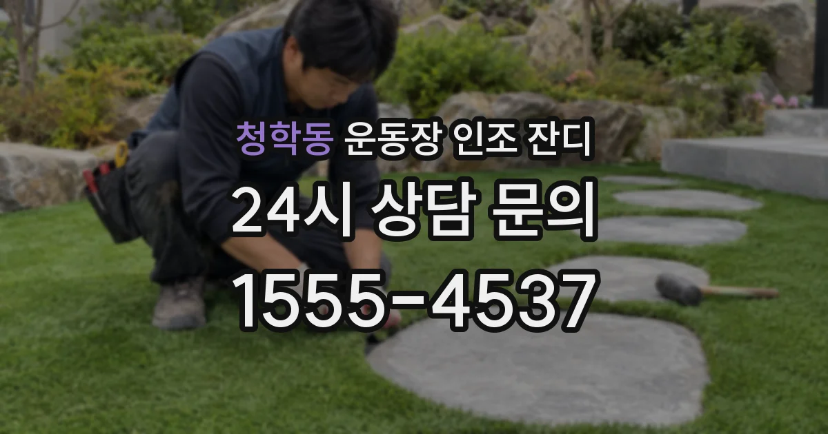청학동 운동장 인조 잔디