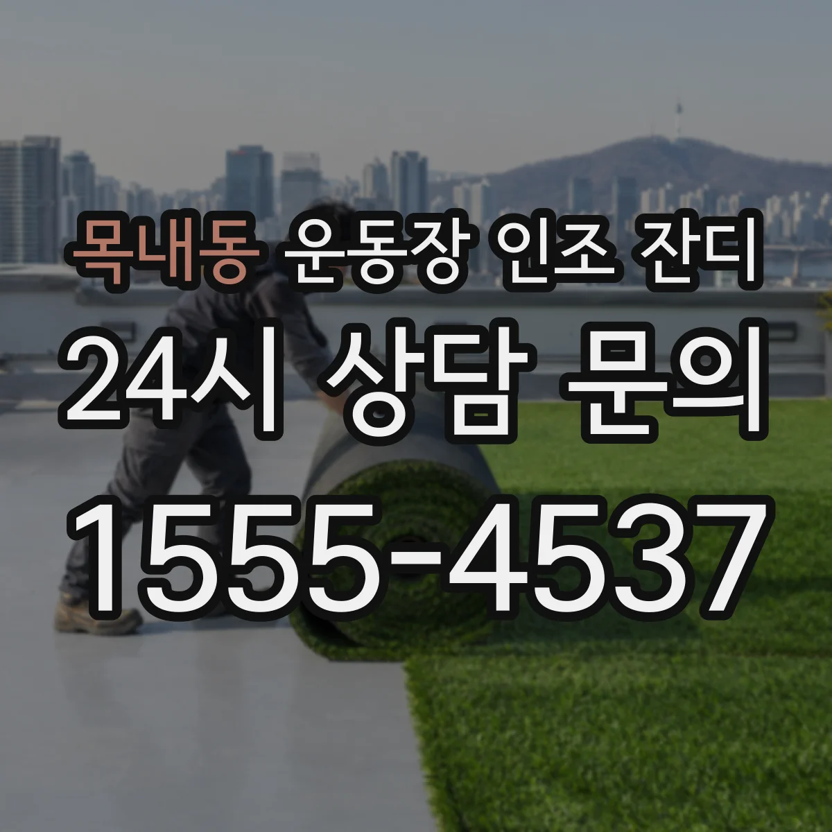 목내동 운동장 인조 잔디