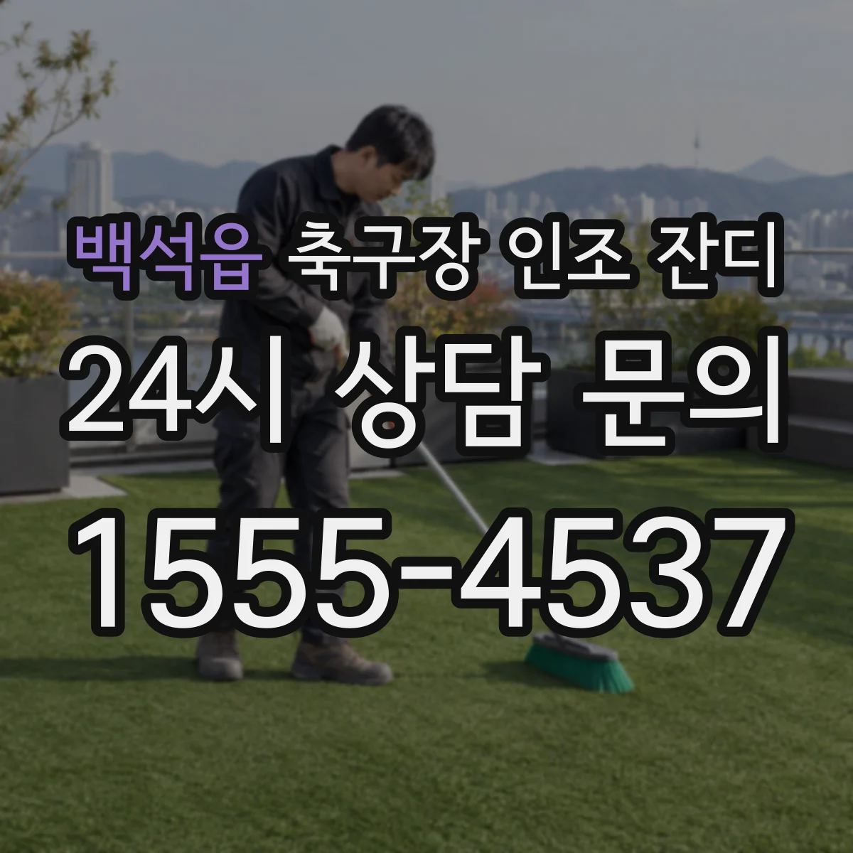 백석읍 축구장 인조 잔디