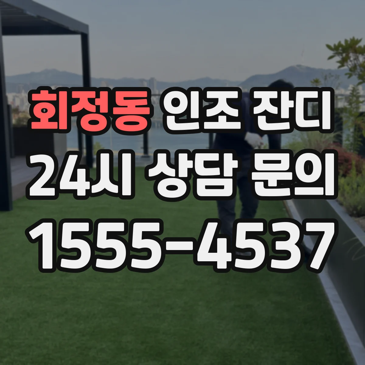 회정동 인조 잔디
