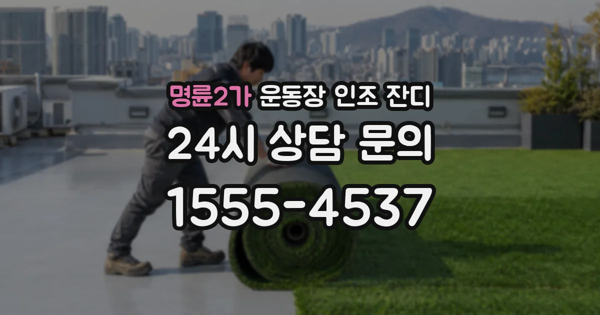 명륜2가 운동장 인조 잔디