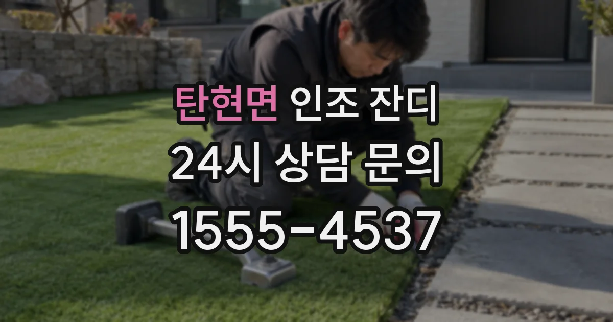 탄현면 인조 잔디