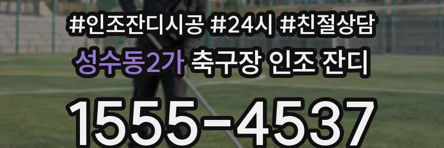 성수동2가 축구장 인조 잔디