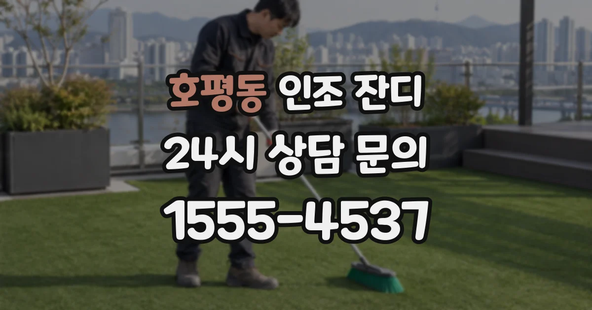 호평동 인조 잔디