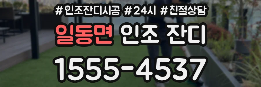 일동면 인조 잔디