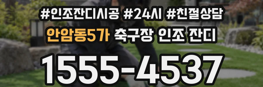안암동5가 축구장 인조 잔디