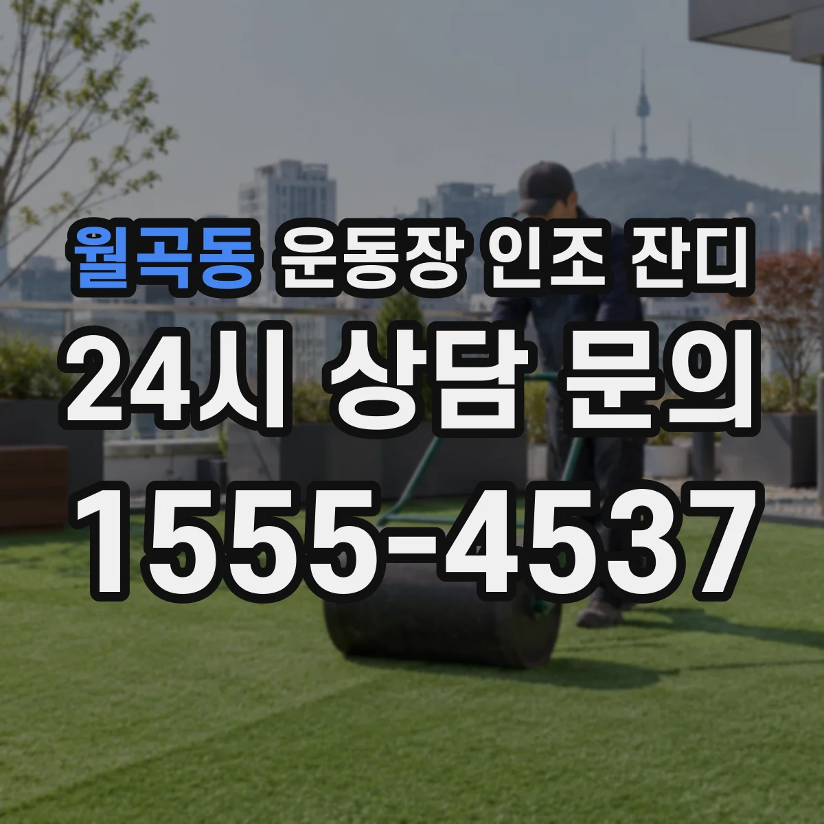 월곡동 운동장 인조 잔디