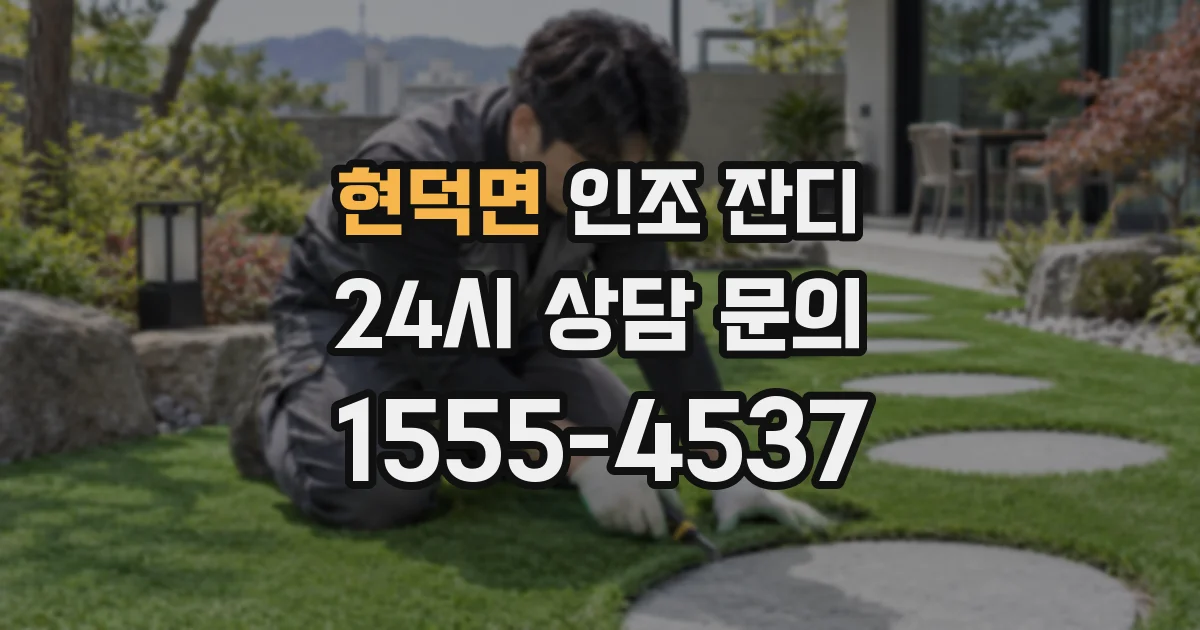 현덕면 인조 잔디