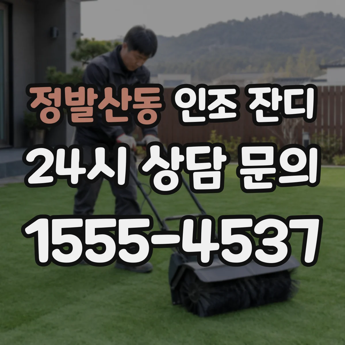 정발산동 인조 잔디