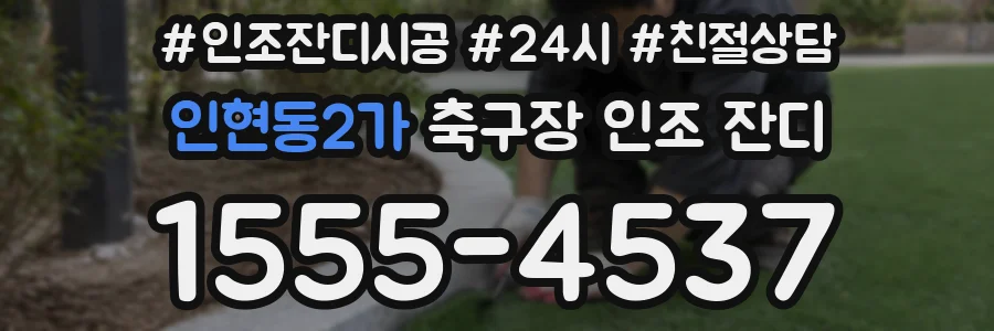 인현동2가 축구장 인조 잔디