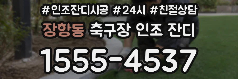 장항동 축구장 인조 잔디