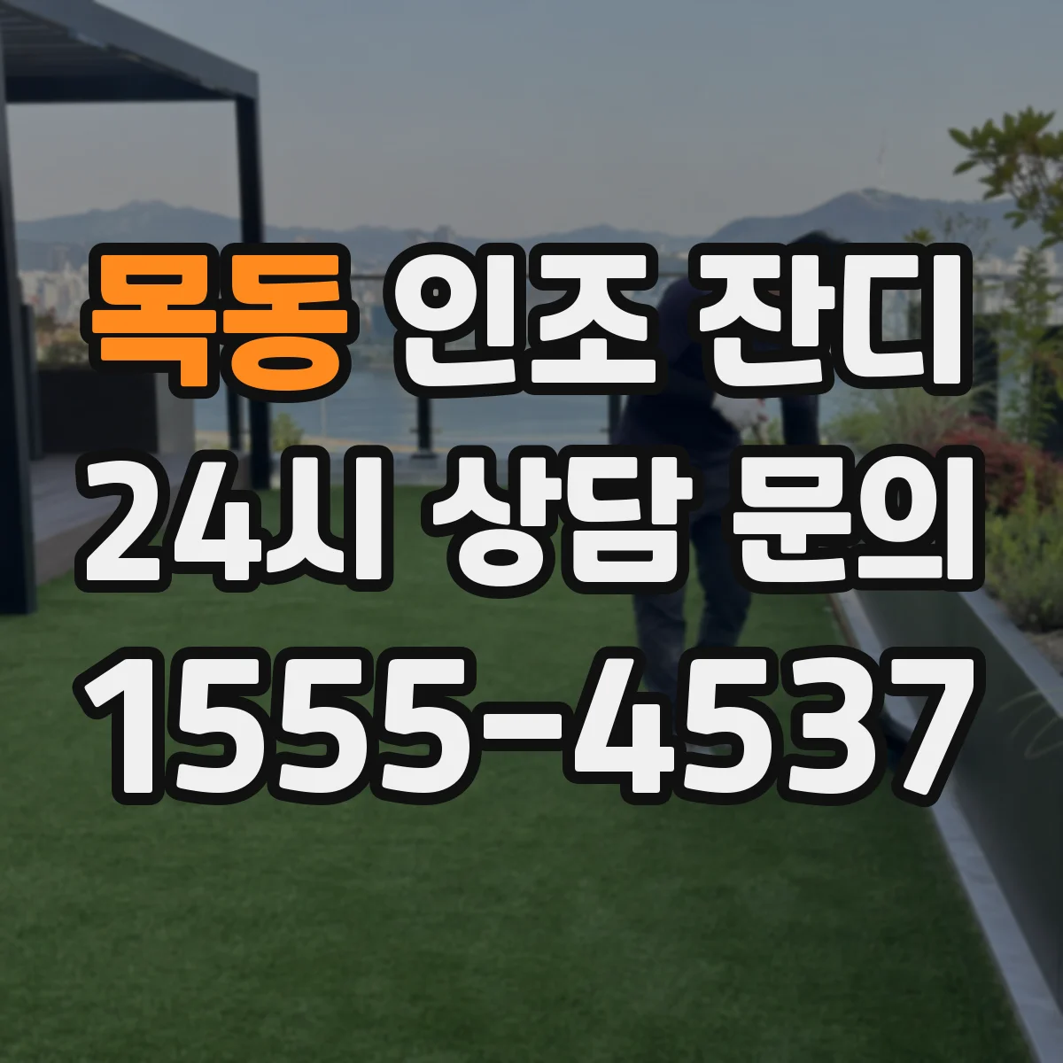 목동 인조 잔디
