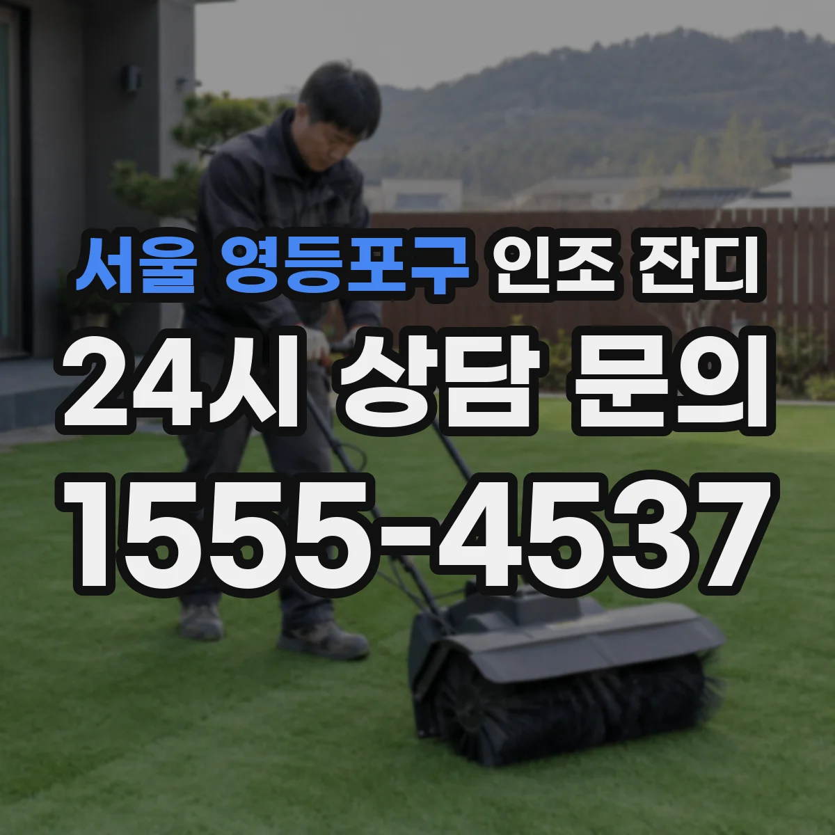서울 영등포구 인조 잔디