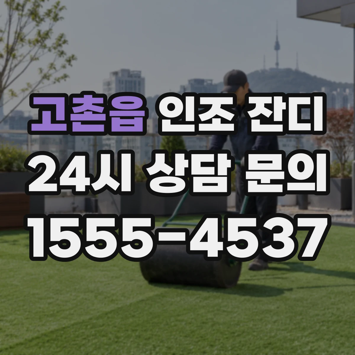 고촌읍 인조 잔디