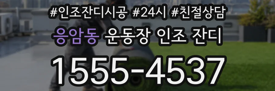 응암동 운동장 인조 잔디